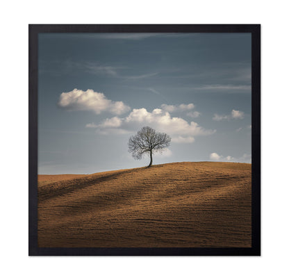 Lone Tree Horizon No2