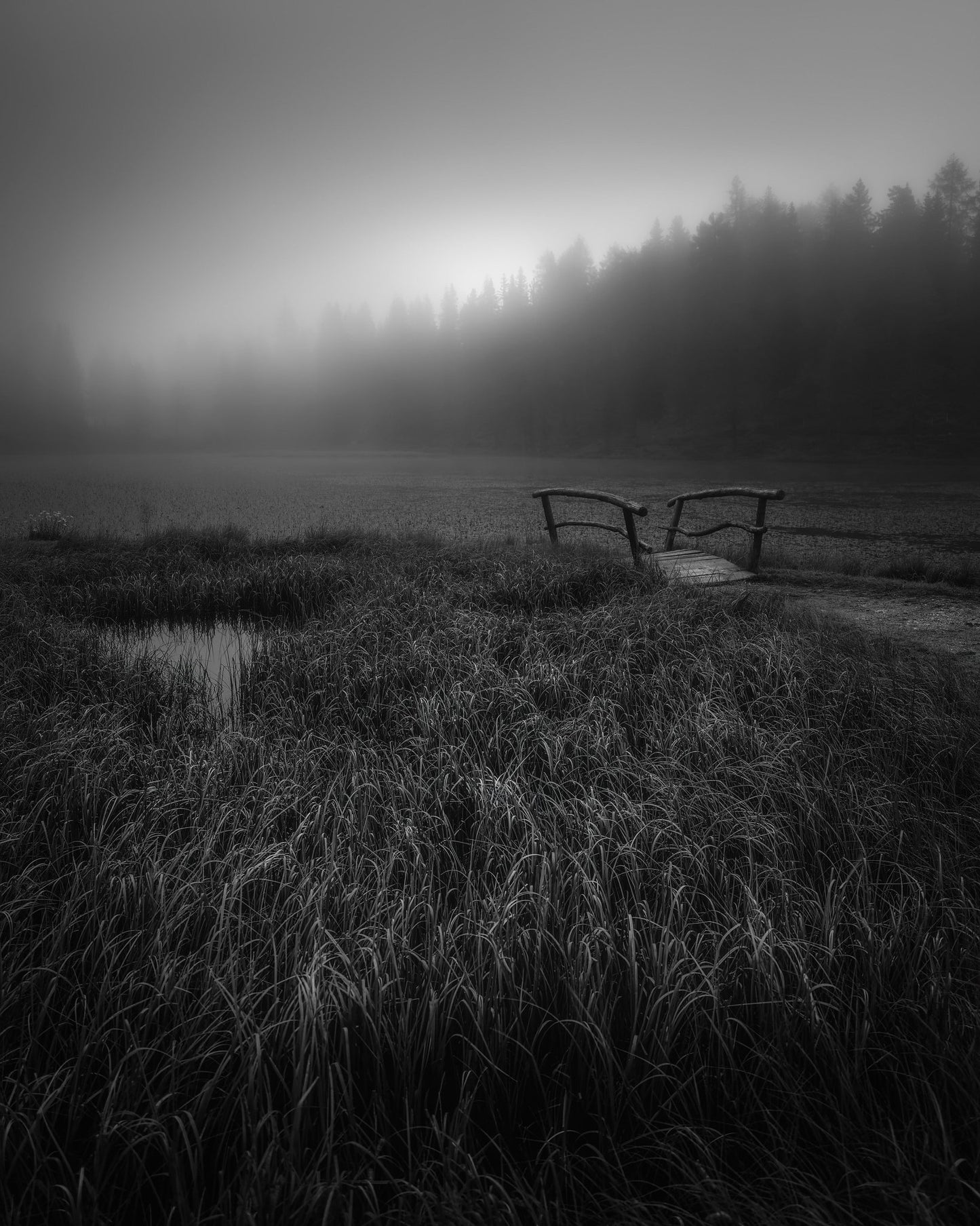 Misty Lake Bridge