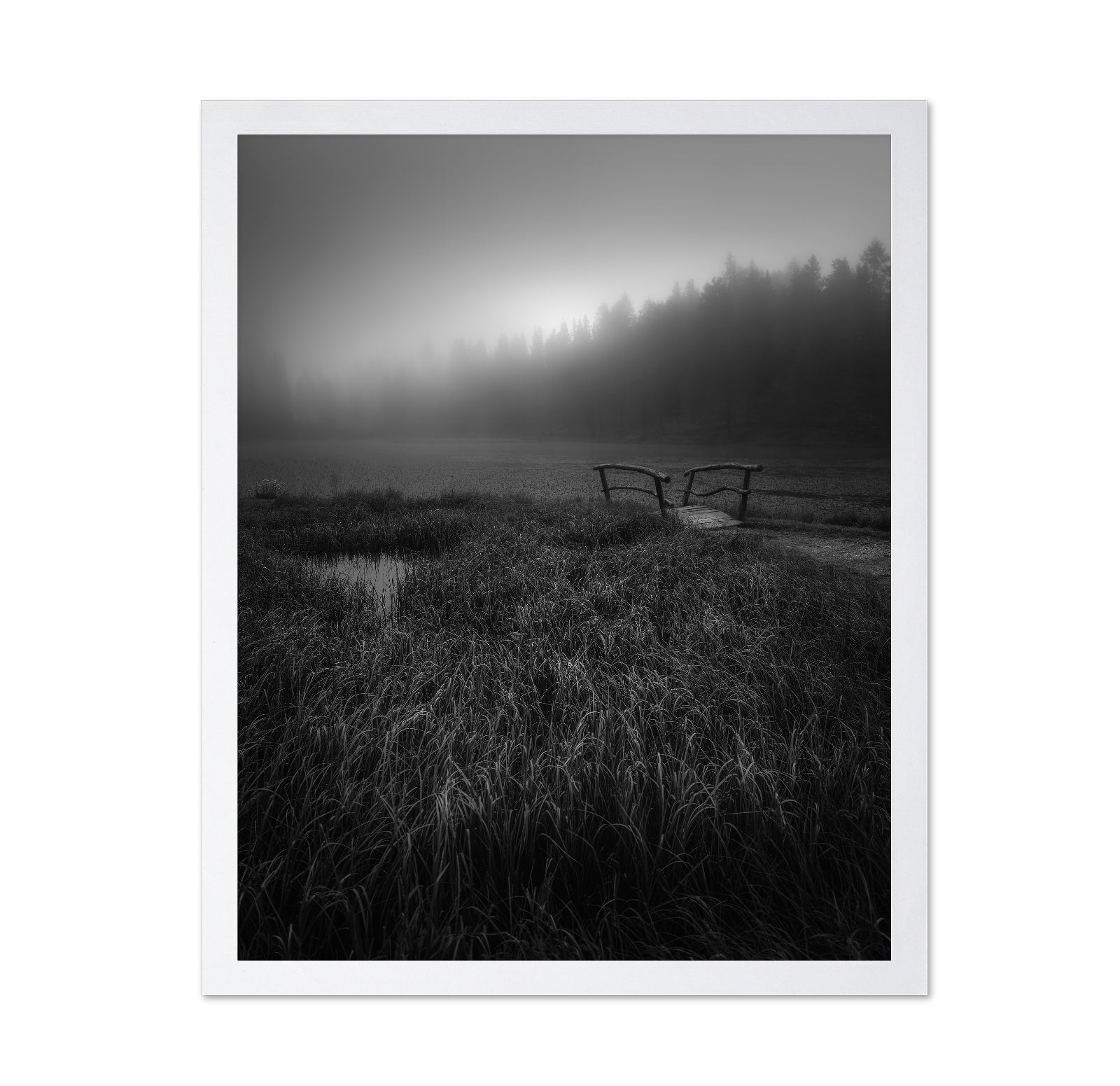 Misty Lake Bridge