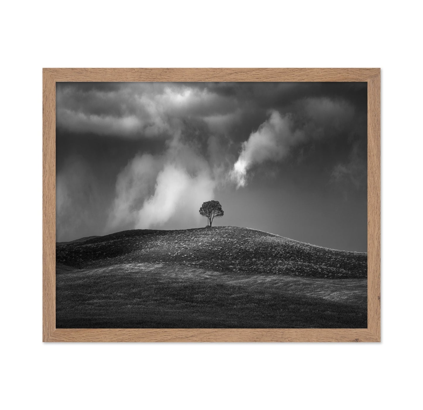 Lone Tree Sky