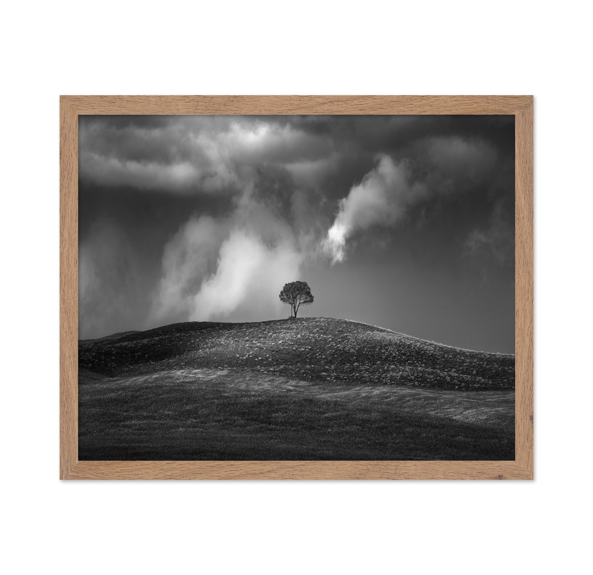 Lone Tree Sky