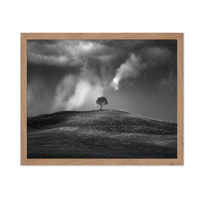 Lone Tree Sky