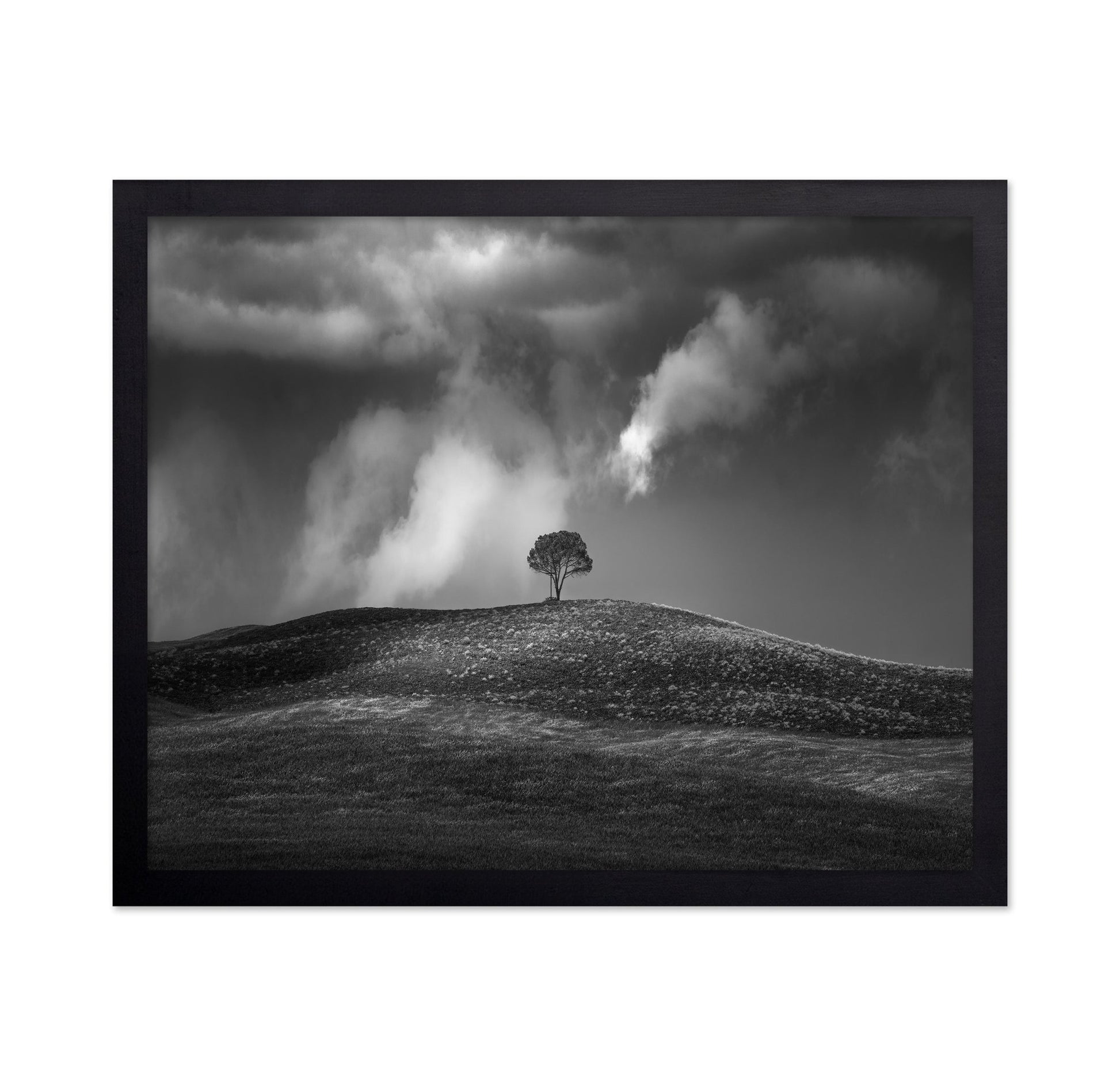 Lone Tree Sky