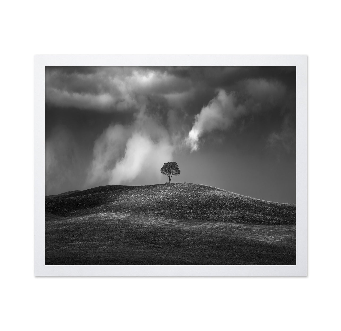 Lone Tree Sky