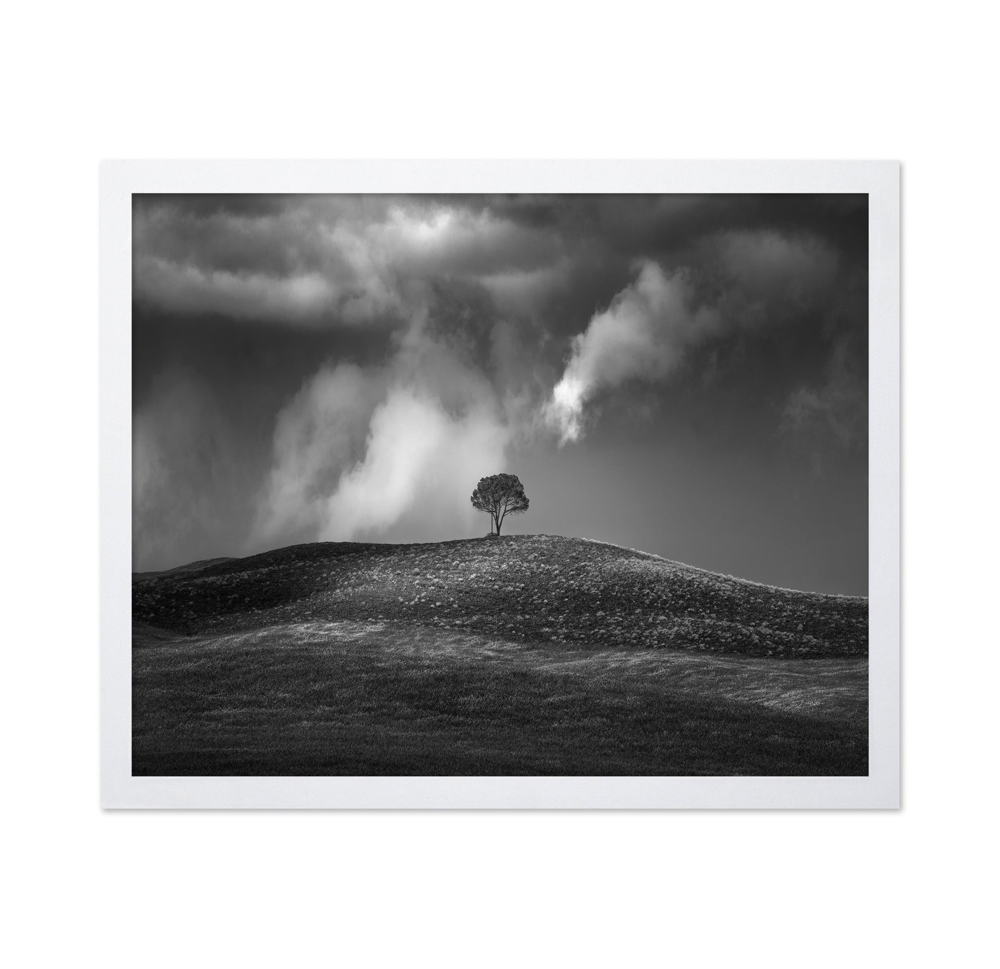 Lone Tree Sky