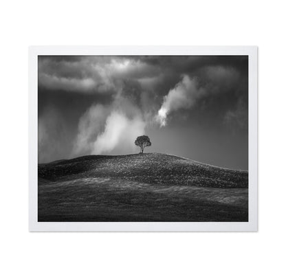Lone Tree Sky