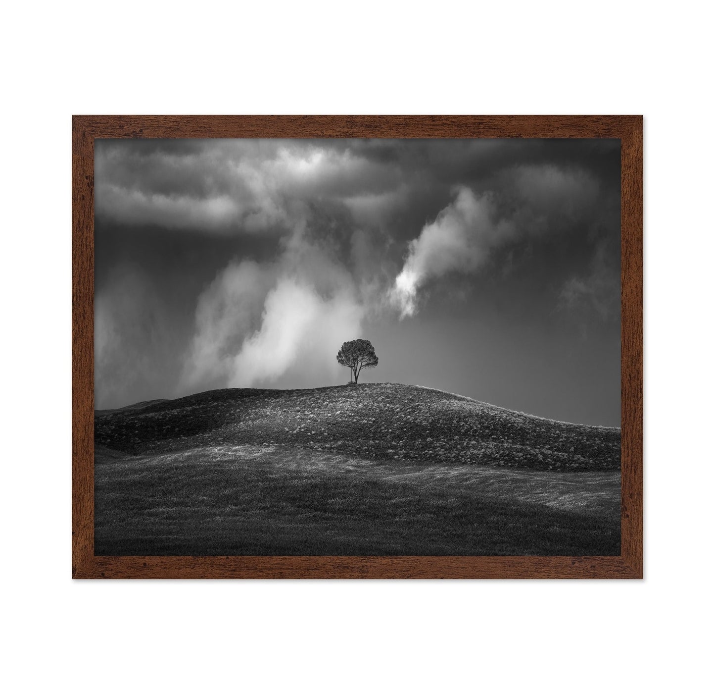 Lone Tree Sky