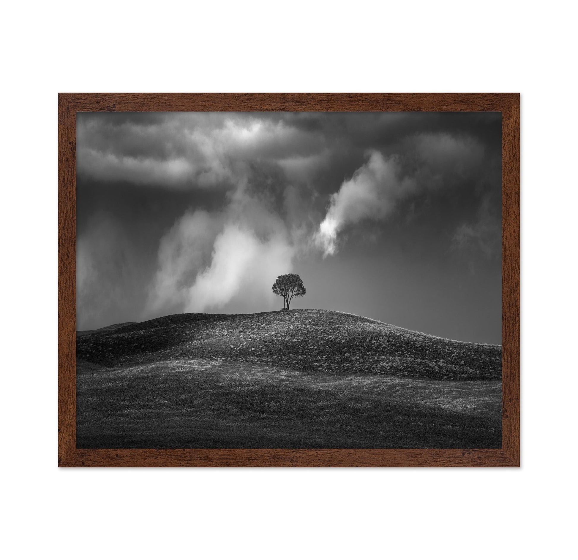 Lone Tree Sky