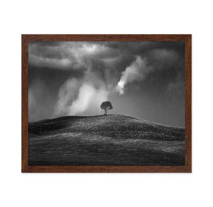 Lone Tree Sky