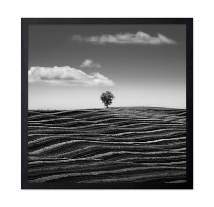 Lone Tree Waves