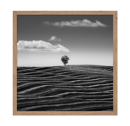 Lone Tree Waves