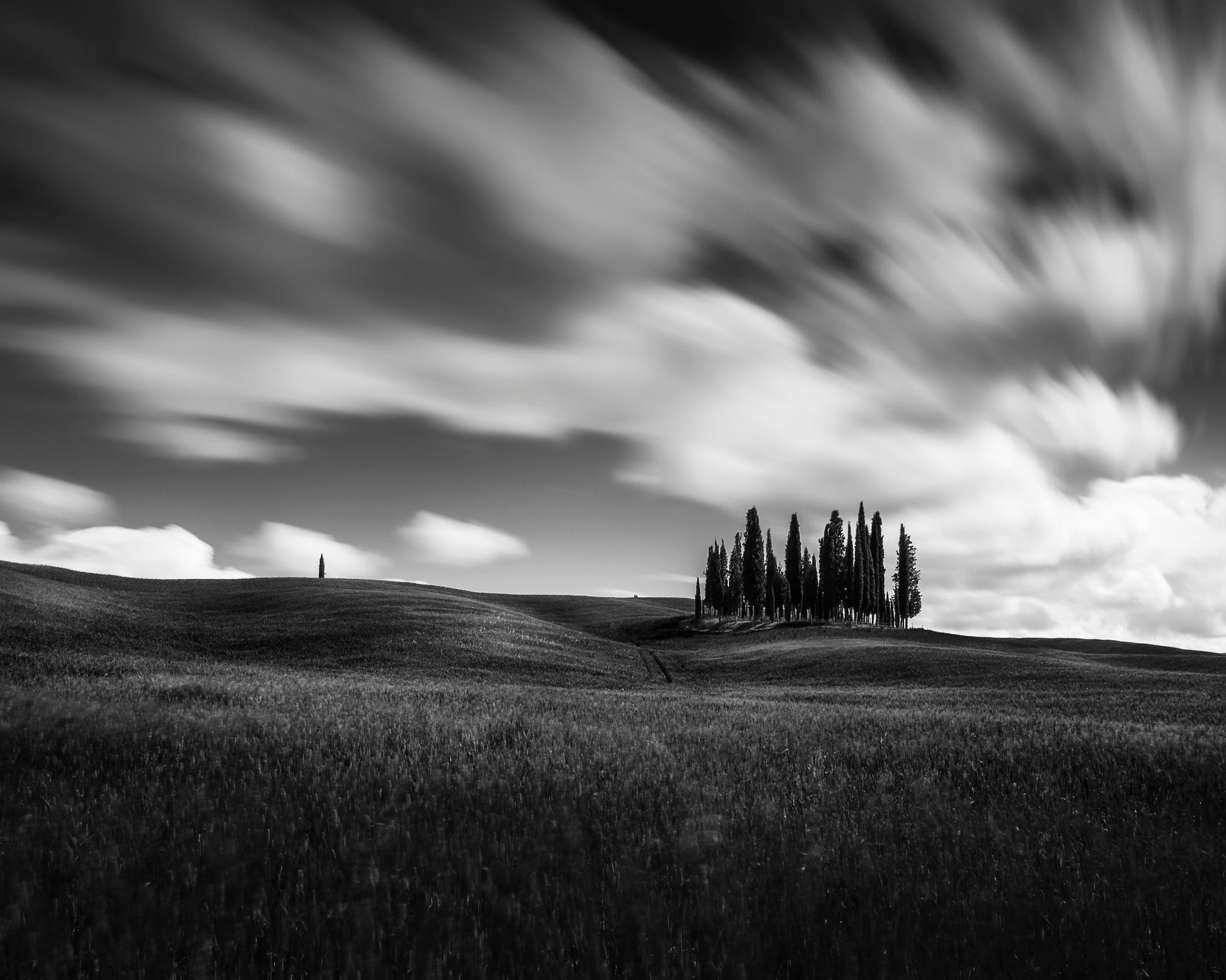 Cypress Hill View