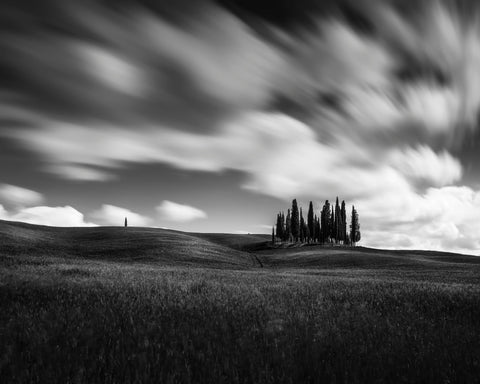 Cypress Hill View