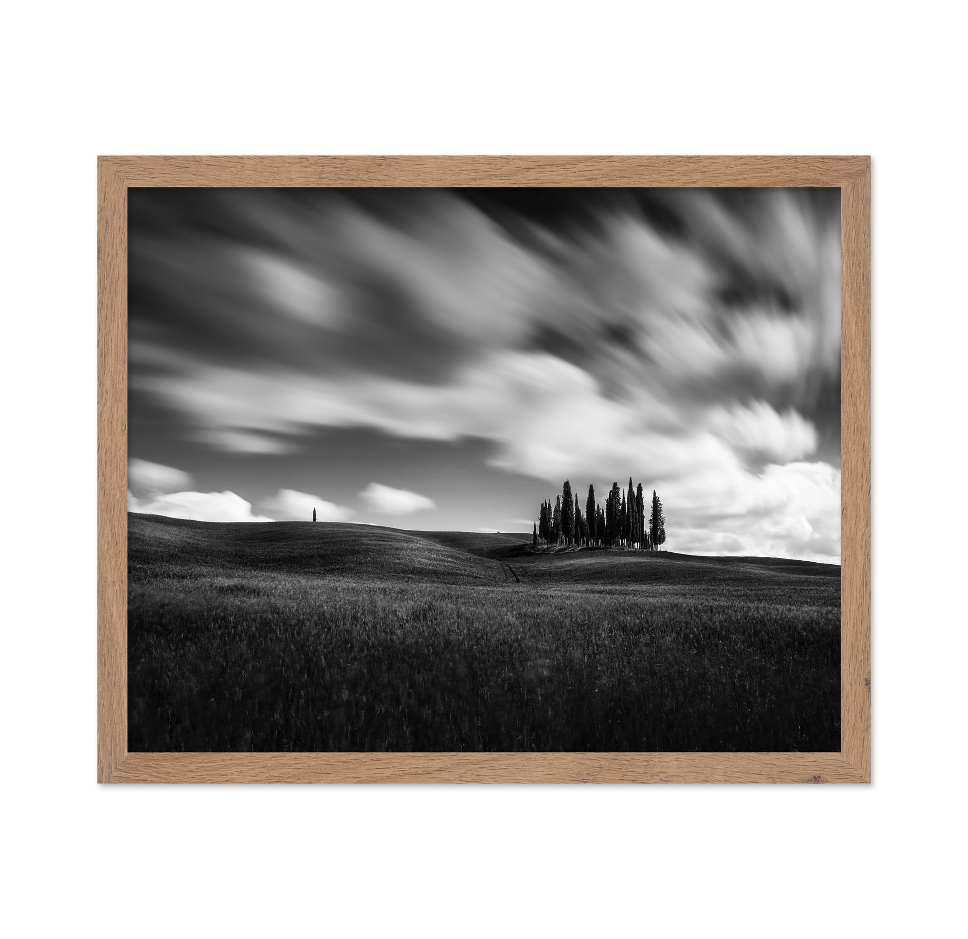 Cypress Hill View