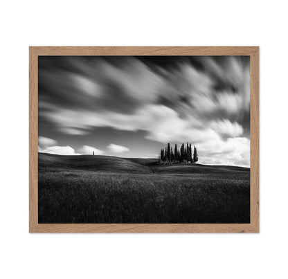 Cypress Hill View