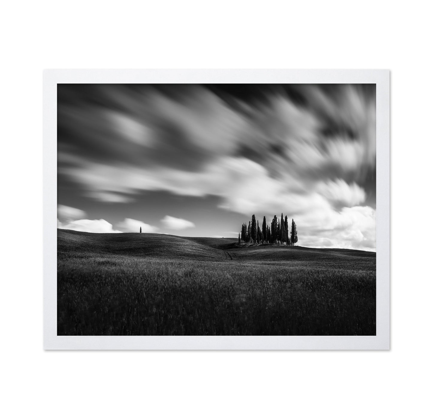 Cypress Hill View