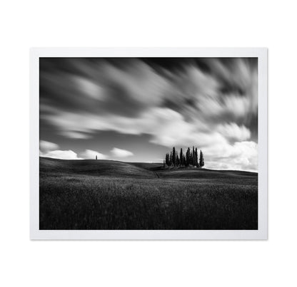 Cypress Hill View