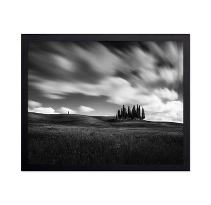 Cypress Hill View