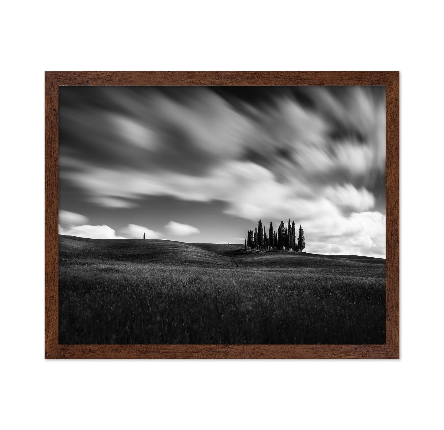 Cypress Hill View