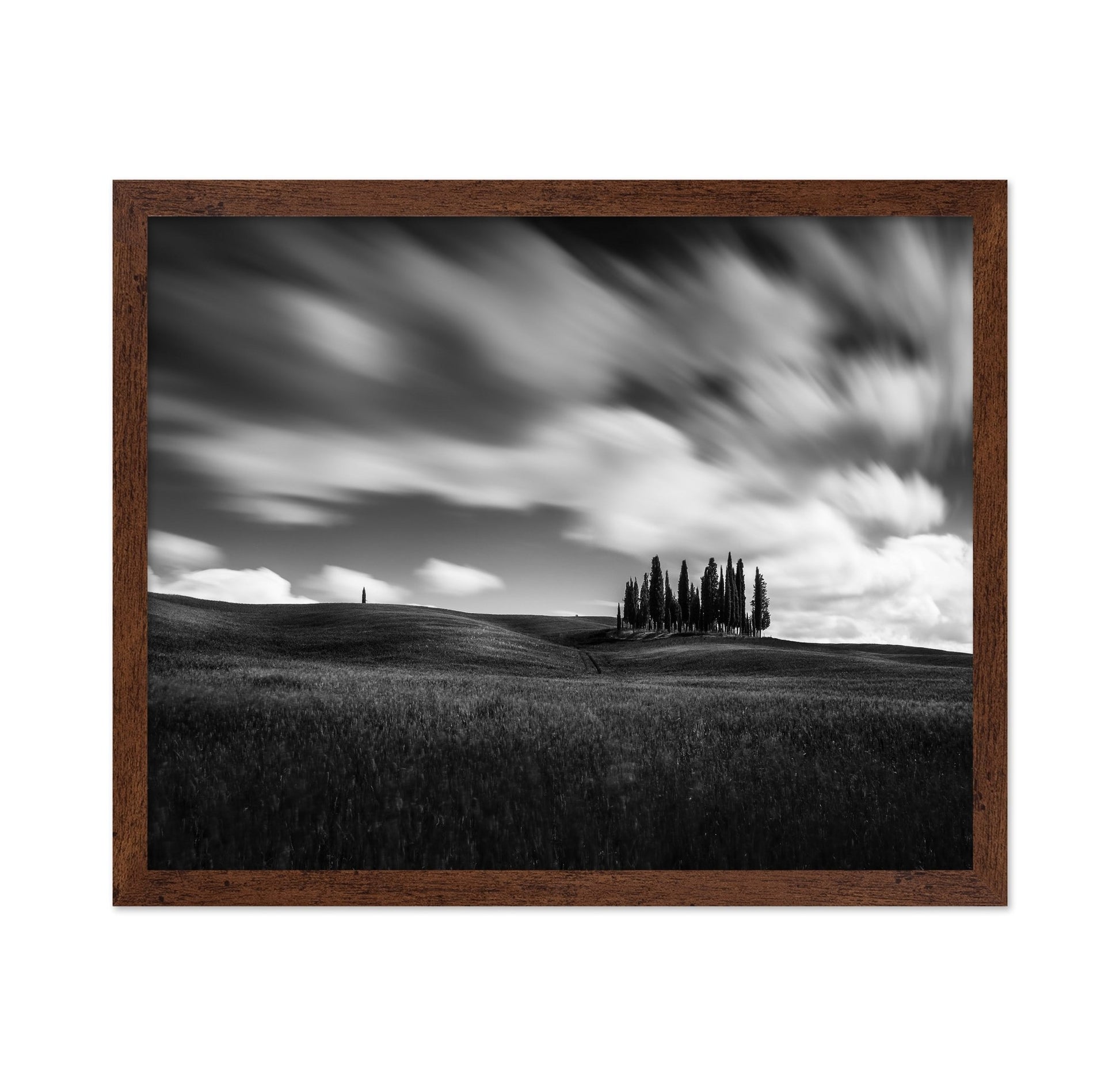 Cypress Hill View