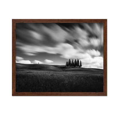 Cypress Hill View