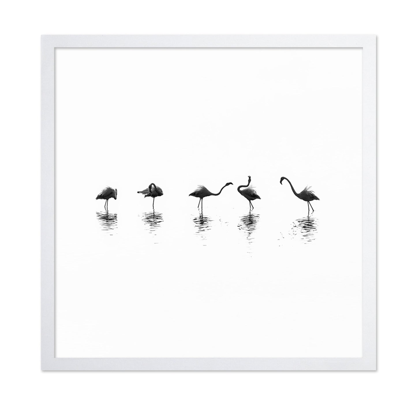 Flamingo Line Dance