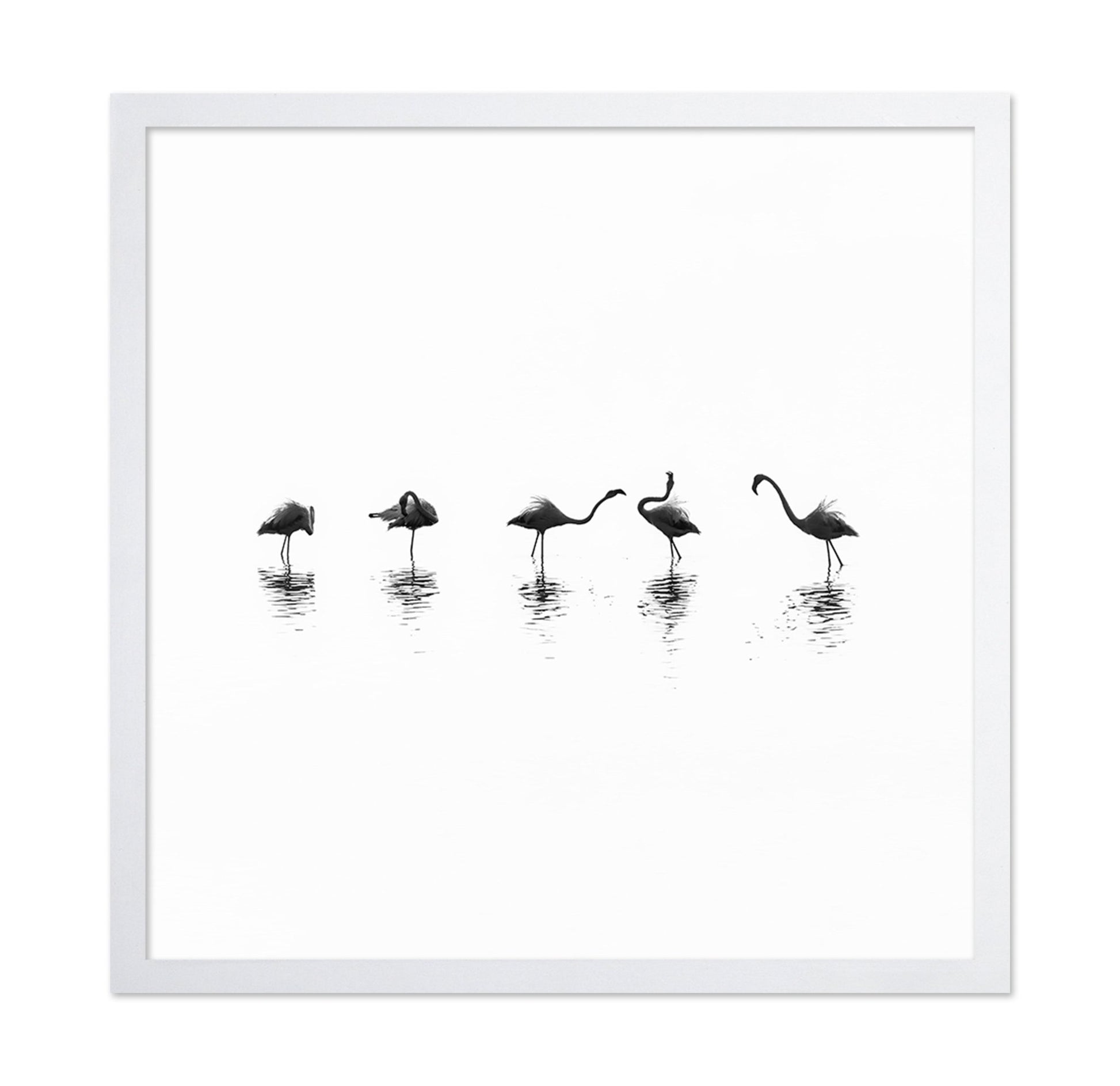 Flamingo Line Dance