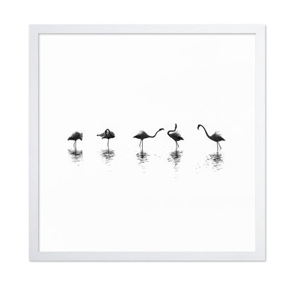 Flamingo Line Dance