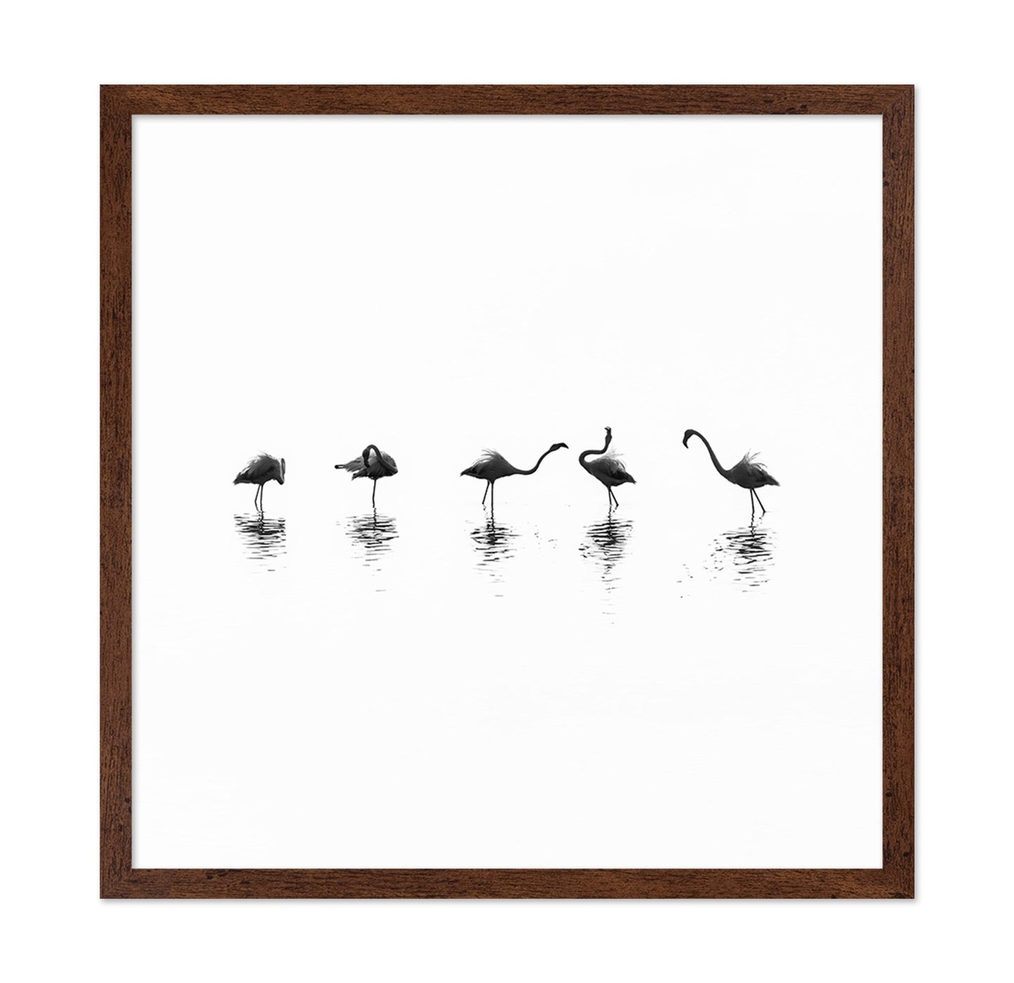 Flamingo Line Dance