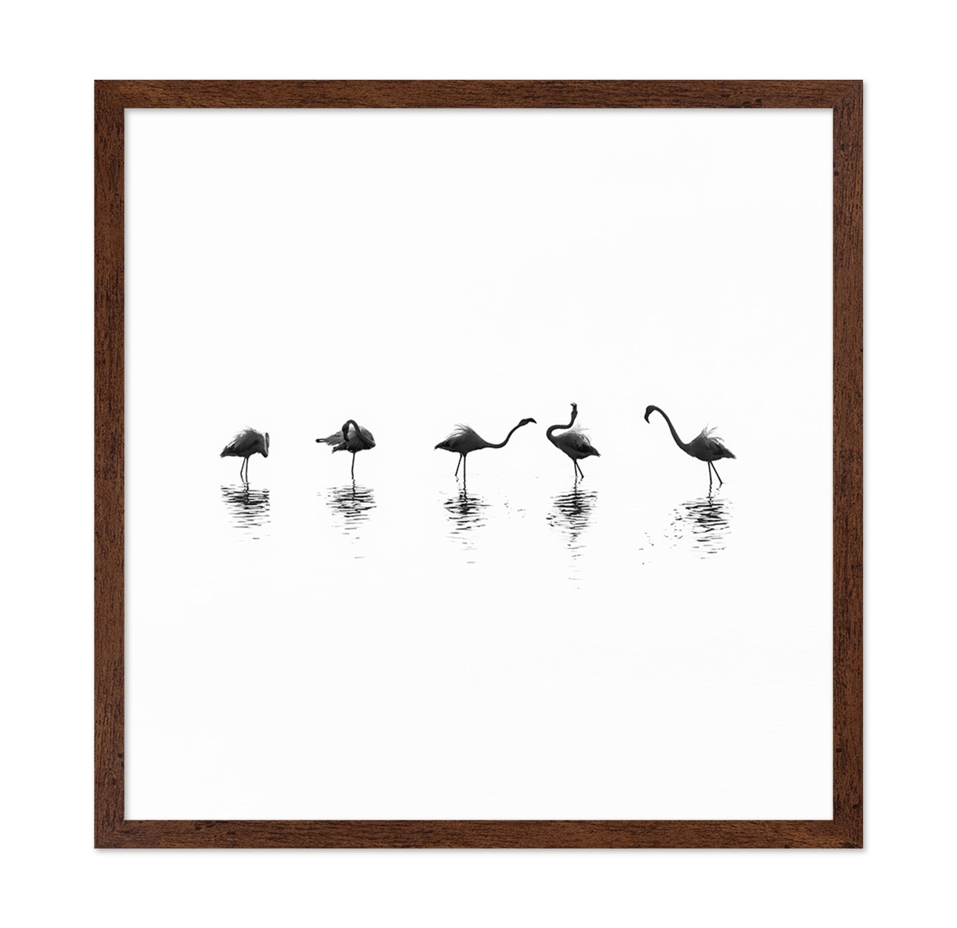 Flamingo Line Dance