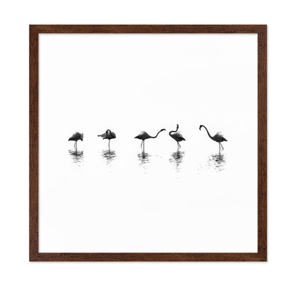 Flamingo Line Dance