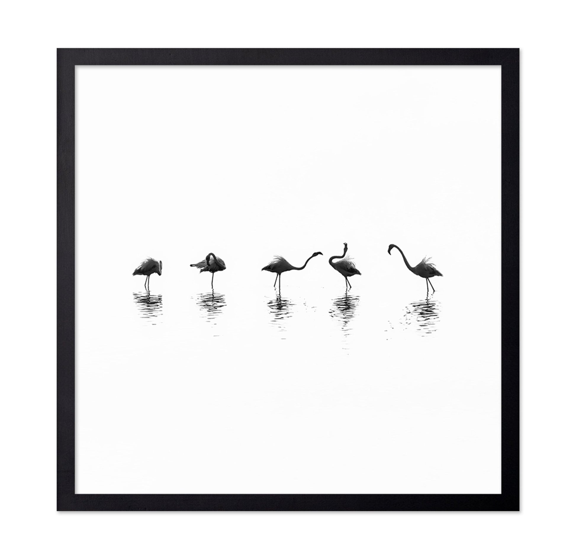 Flamingo Line Dance