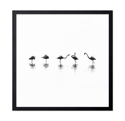 Flamingo Line Dance