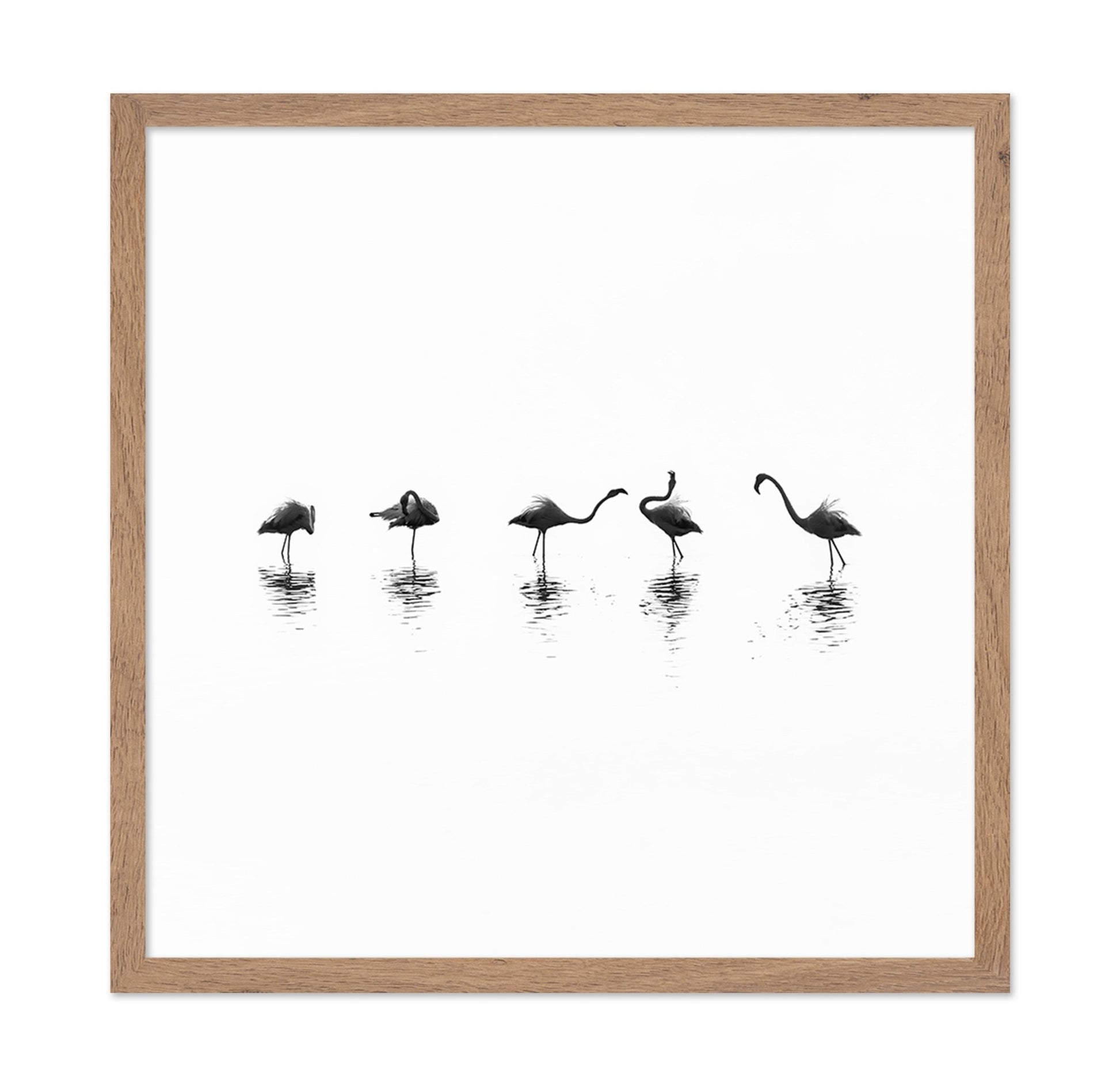 Flamingo Line Dance