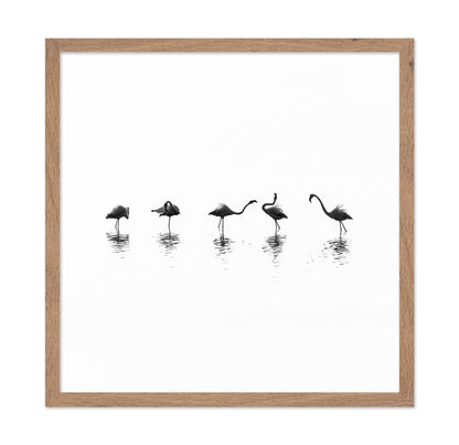 Flamingo Line Dance