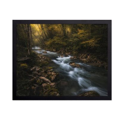 Golden Forest Stream