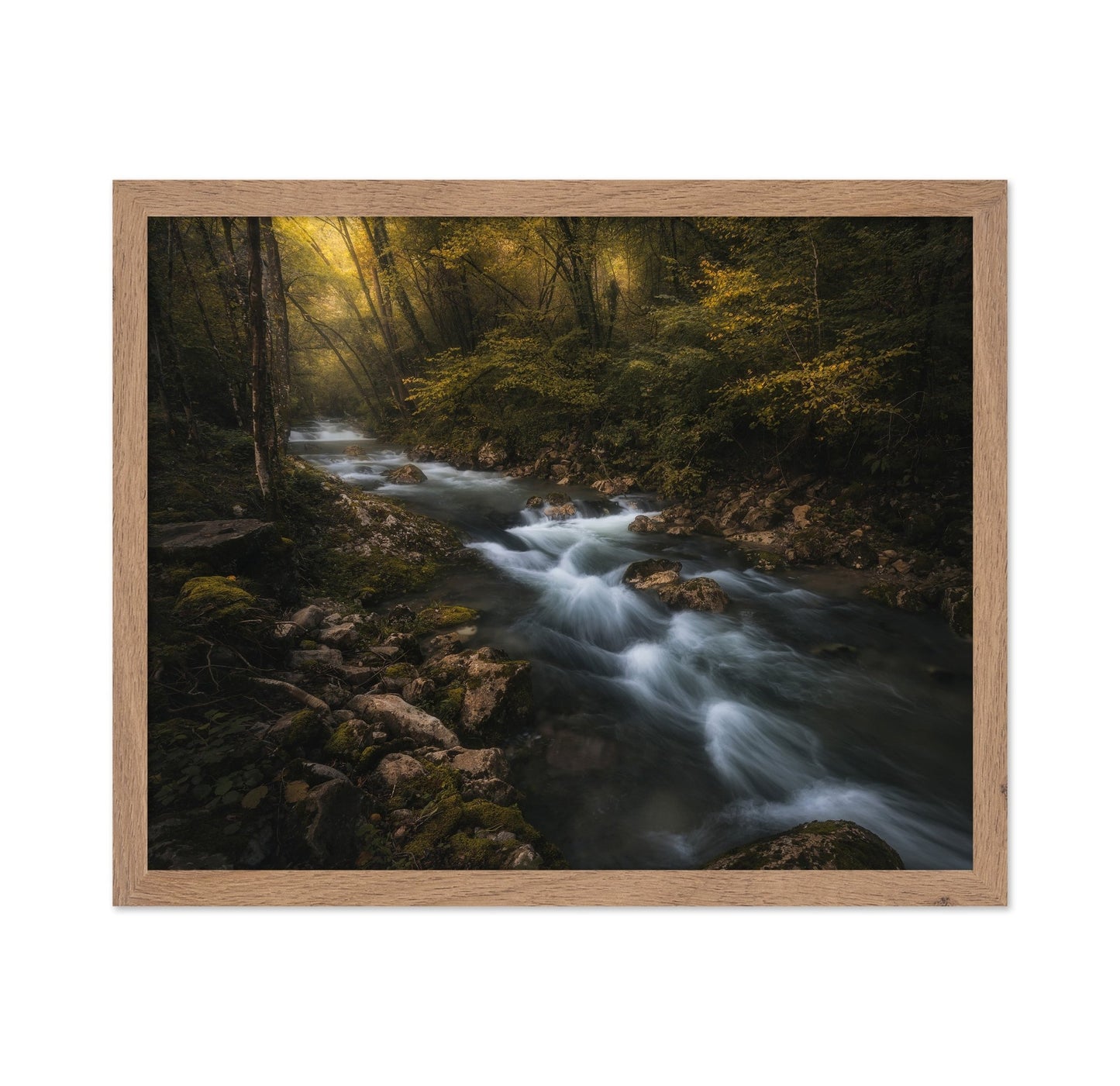 Golden Forest Stream