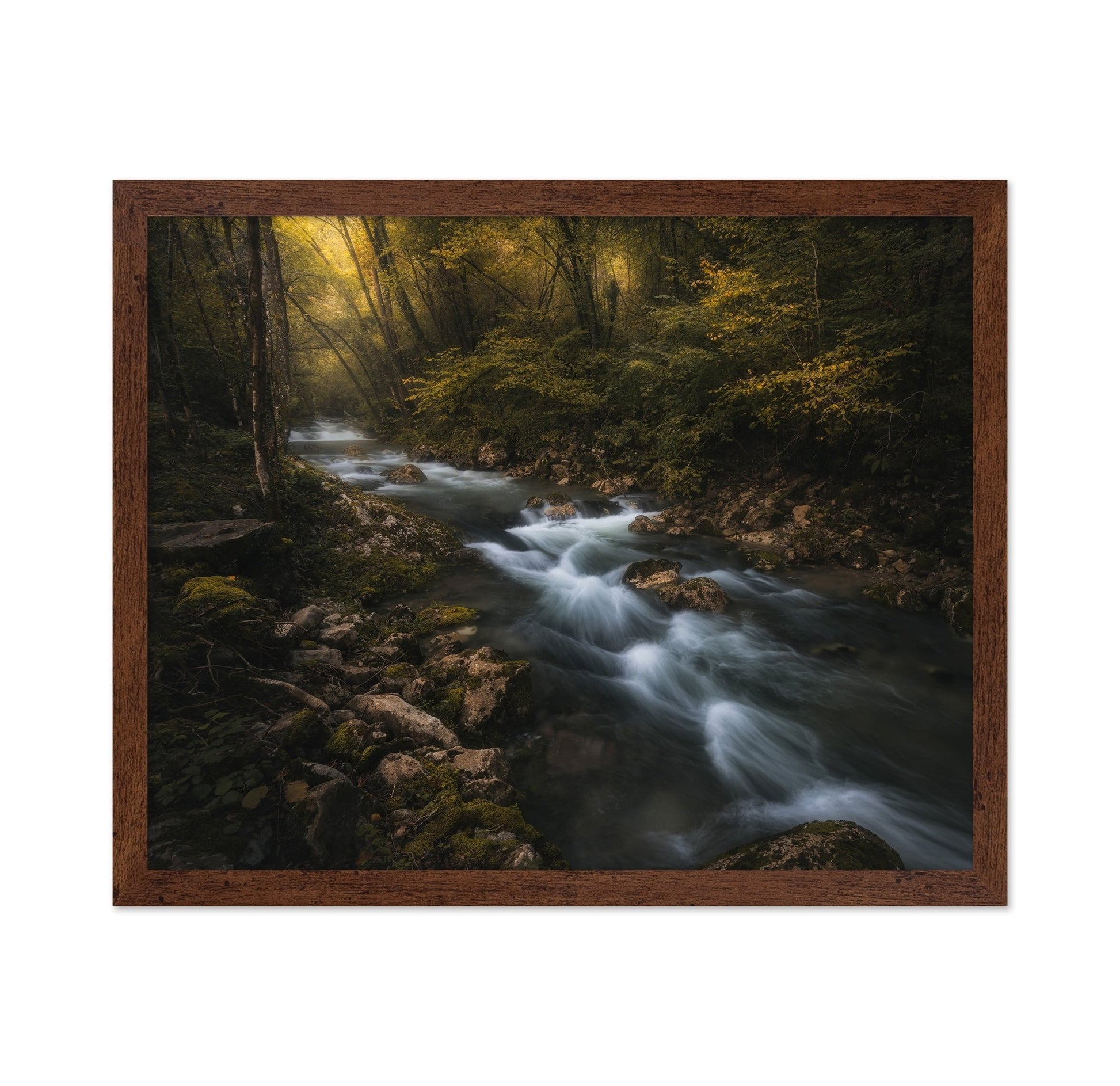 Golden Forest Stream