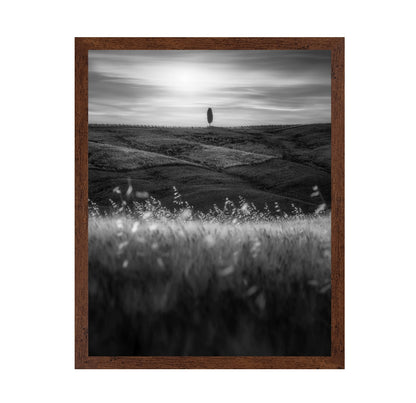 Lone Tree Field No1