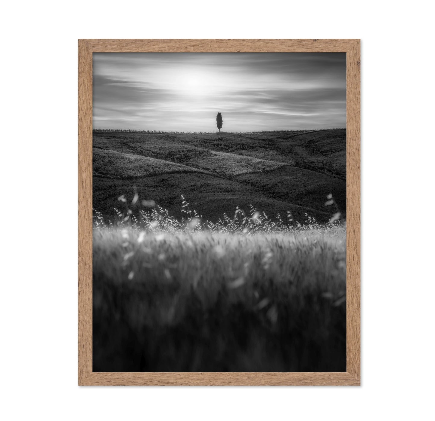 Lone Tree Field No1