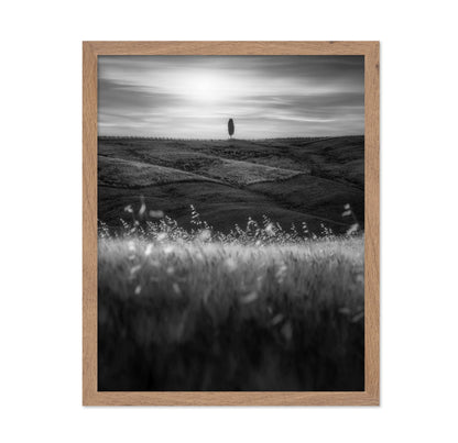 Lone Tree Field No1