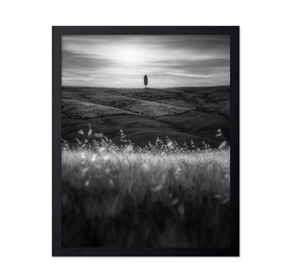 Lone Tree Field No1