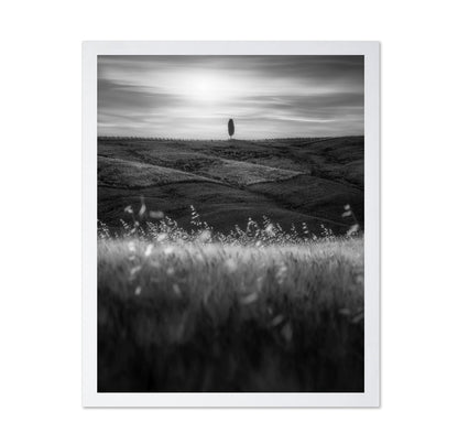 Lone Tree Field No1