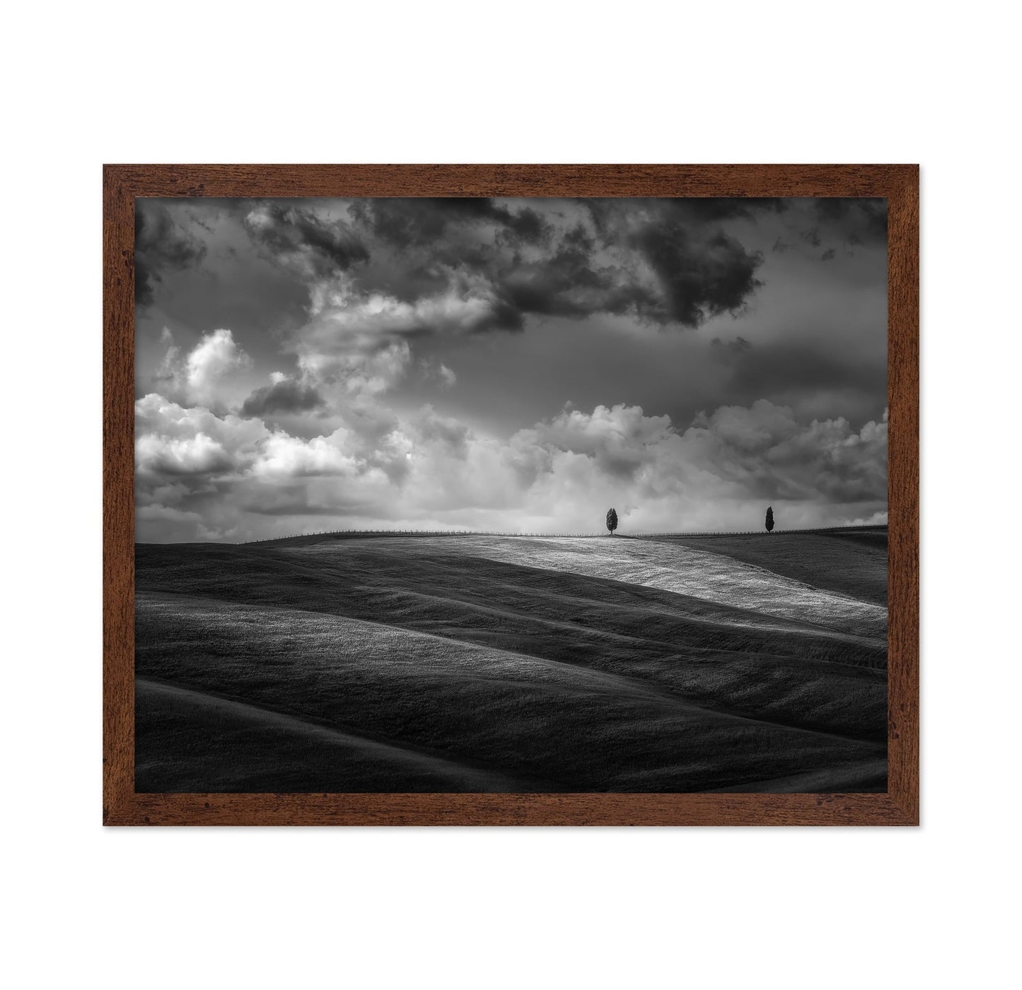 Rolling Hills Silence