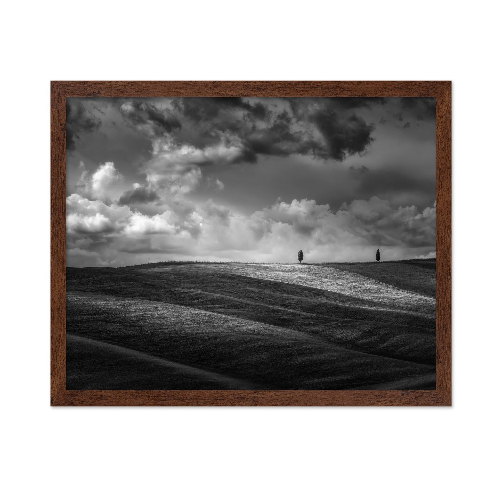 Rolling Hills Silence
