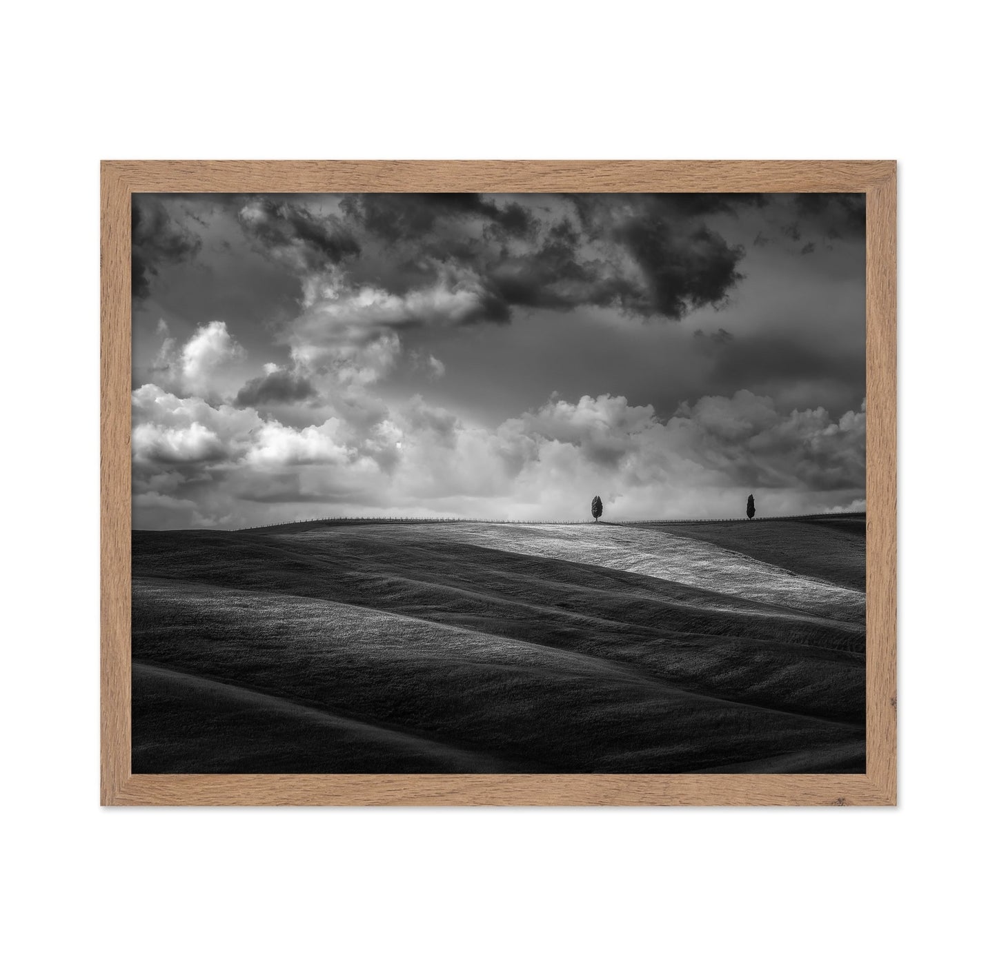 Rolling Hills Silence