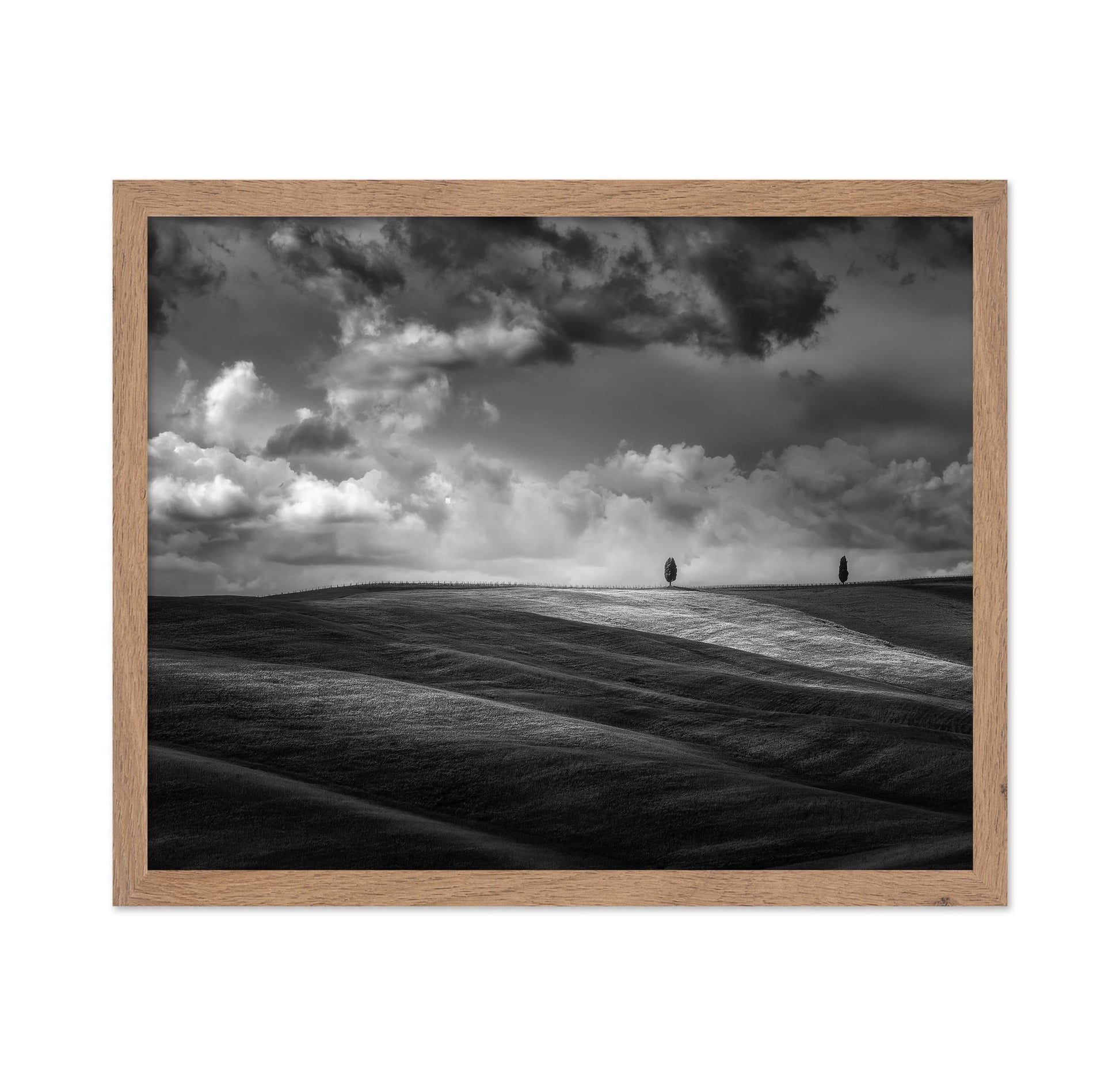 Rolling Hills Silence