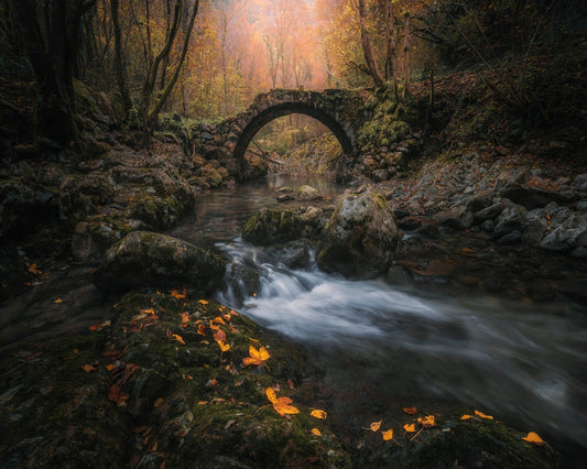 Autumn Bridge Stream