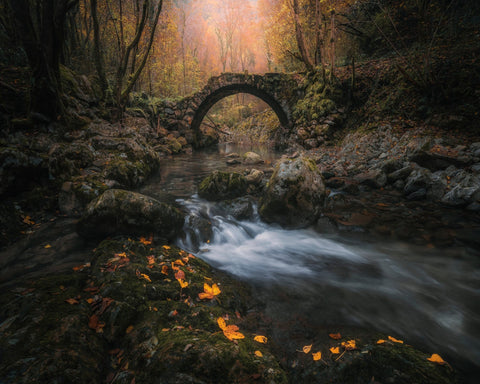 Autumn Bridge Stream