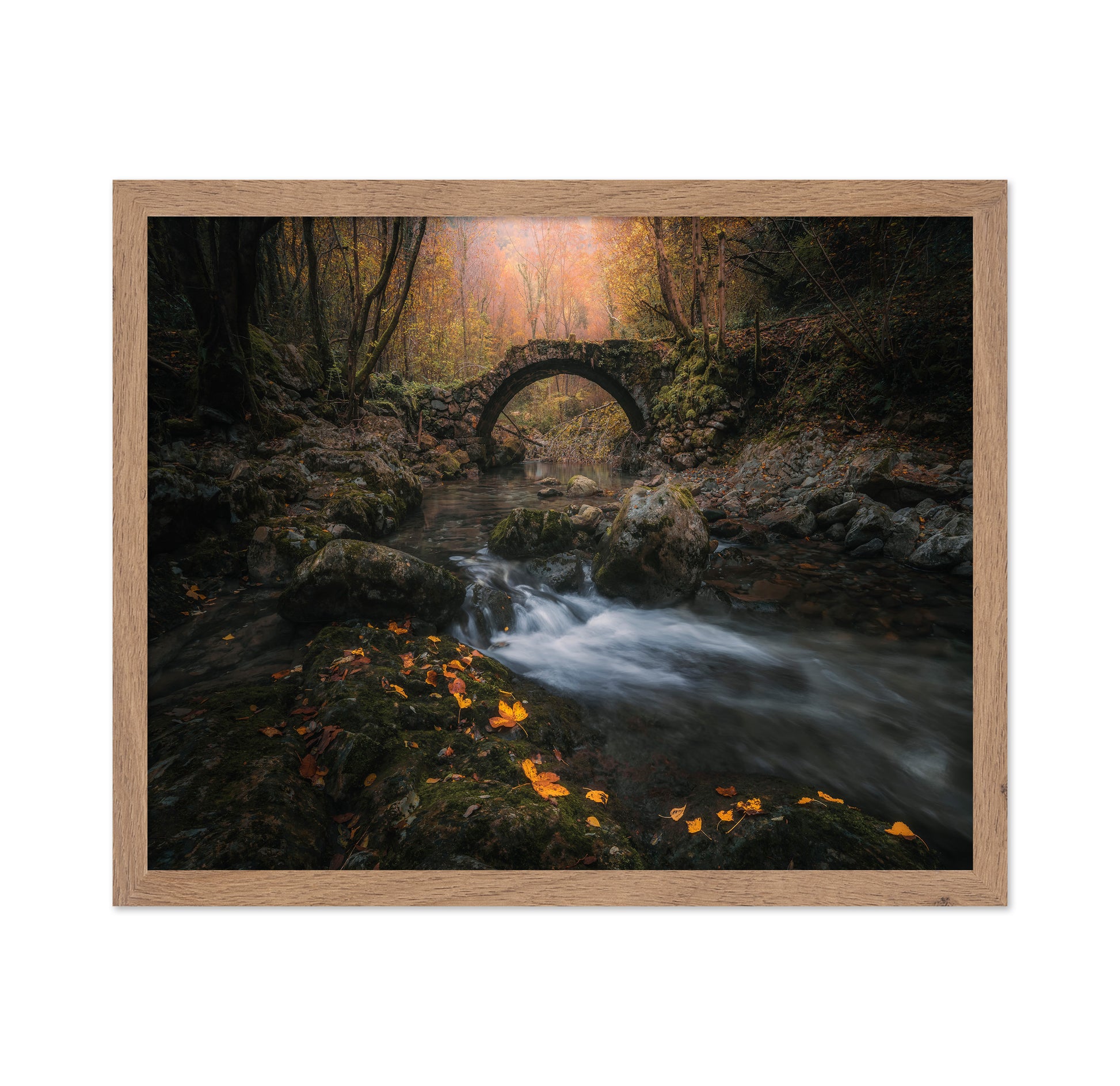 Autumn Bridge Stream